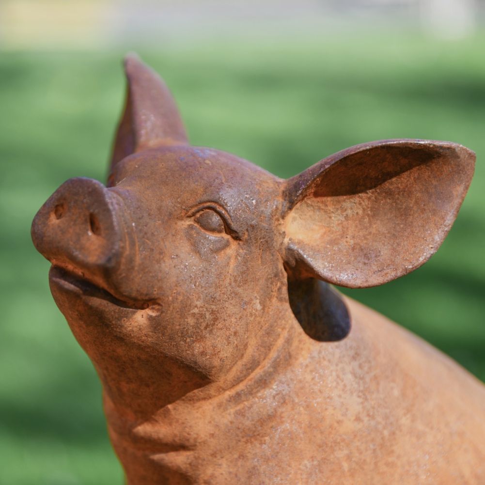 Sitting Pig Cast Iron Rustic Sculpture Face Detail