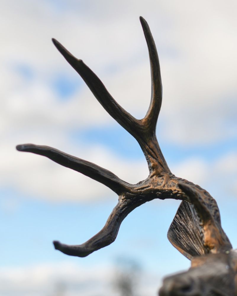Comet Bronze Buck On Rock Garden Sculpture-Facing Left