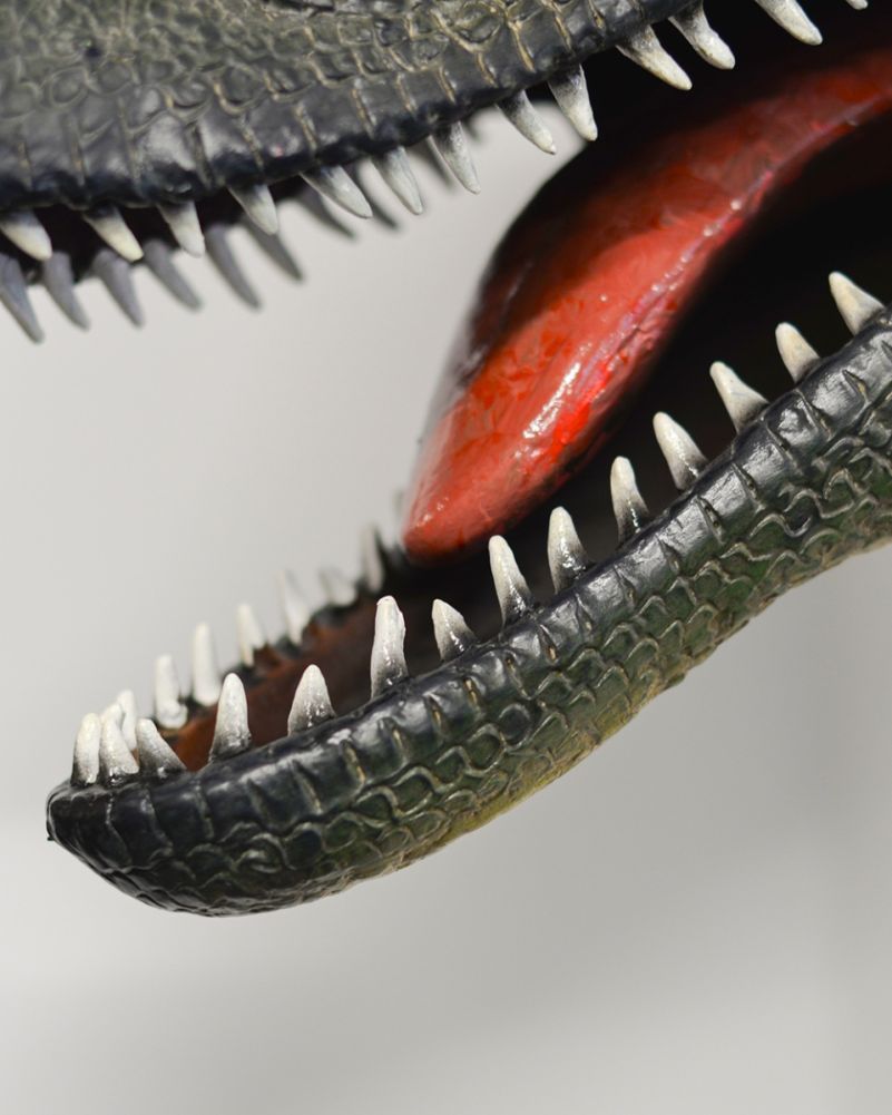 'Dante' The T-Rex Fibreglass Garden Wall Art Teeth