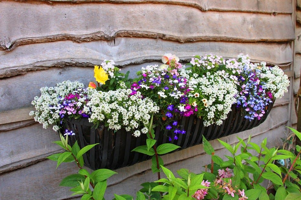 'Southlands' Deluxe Hay feeder Style Garden Planter
