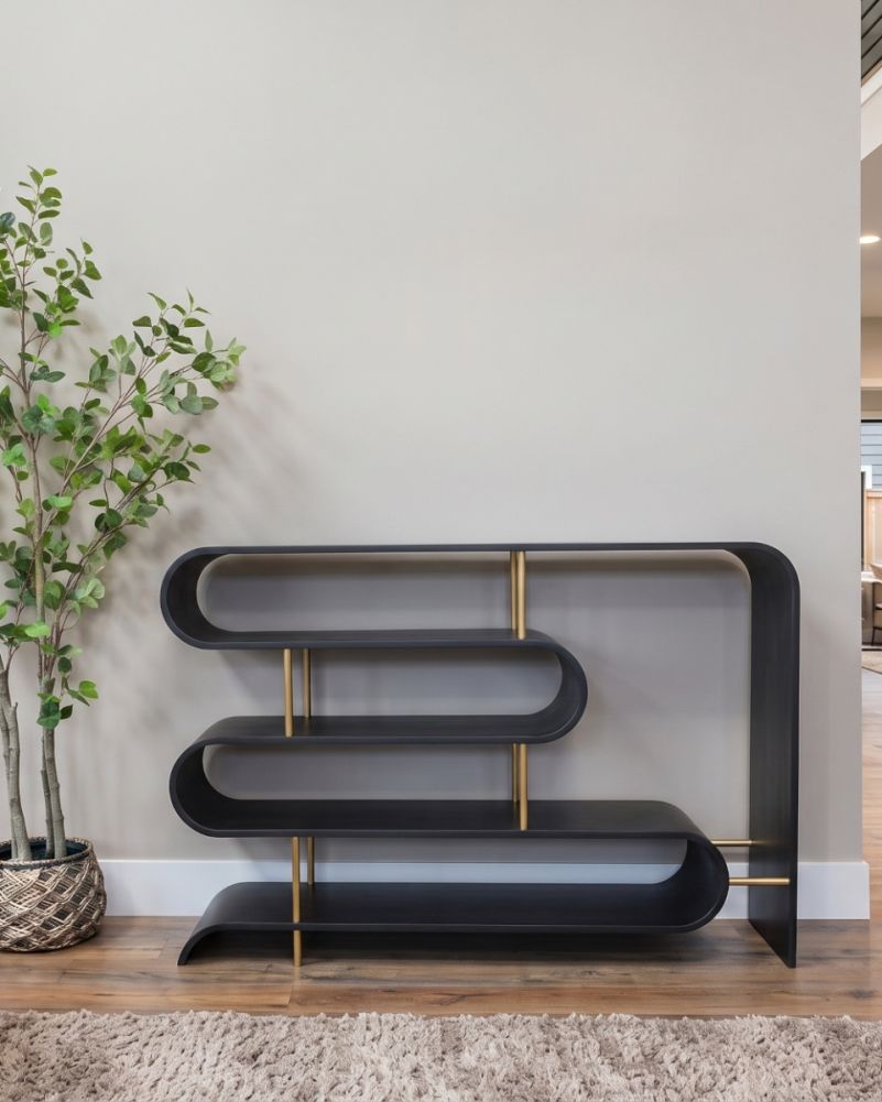 digital illustration black and bronze shelving unit