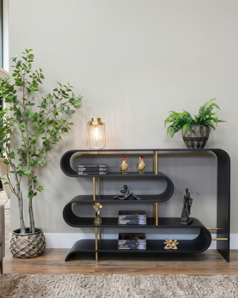 digital illustration black shelving unit