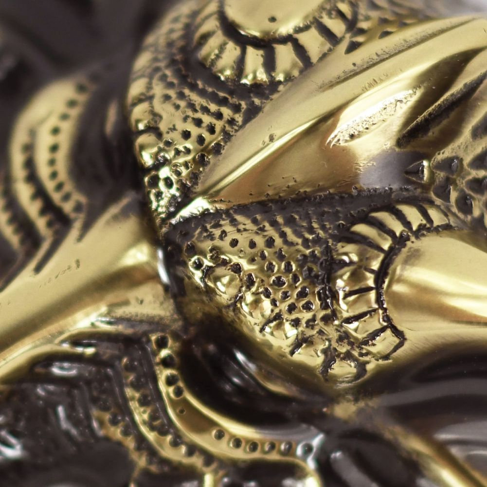 Dragon door knocker - polished brass Close Up