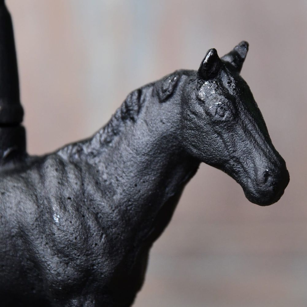 Close up of horses face 