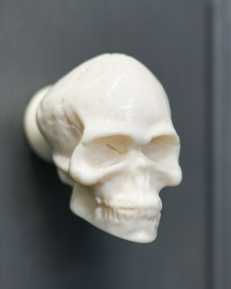 Skull cabinet handle