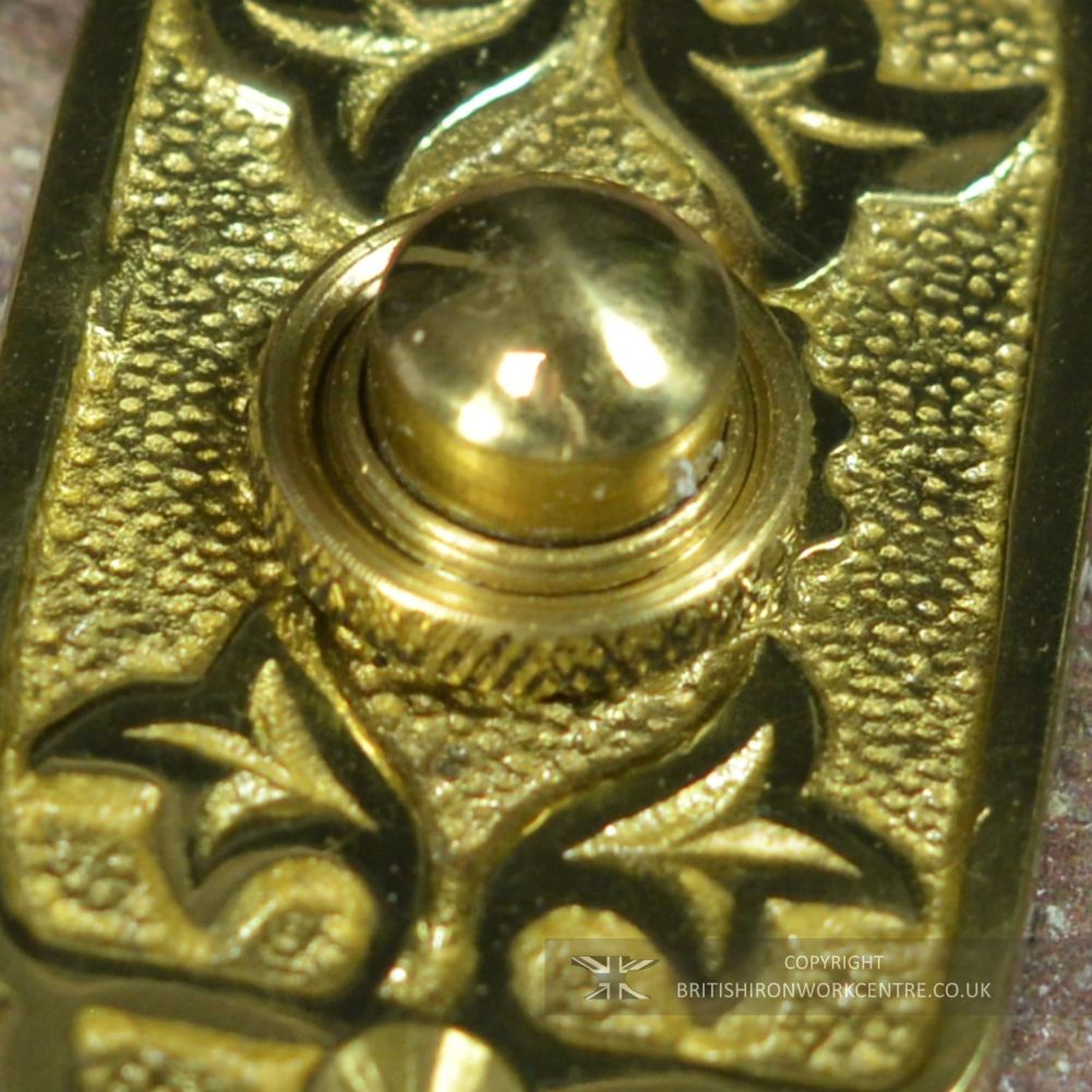 Edensor Park Polished Brass Ornate Bell Push Close Up