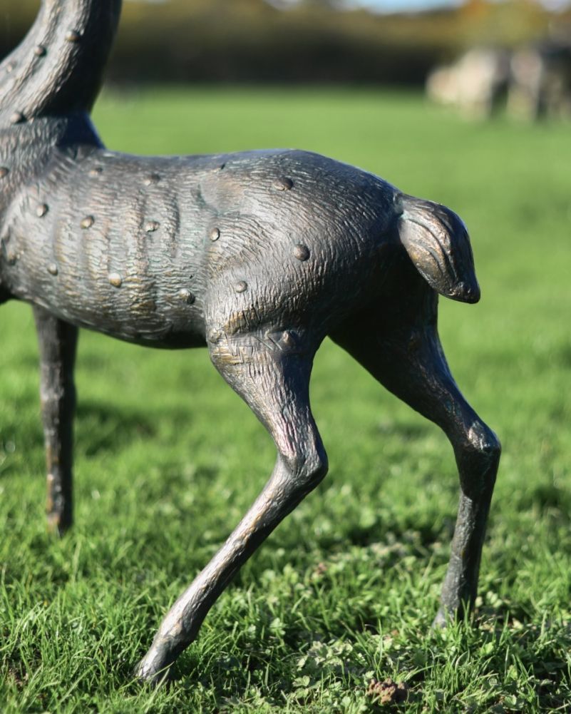 Ely cast aluminium buck garden sculpture close-up of spotted coat