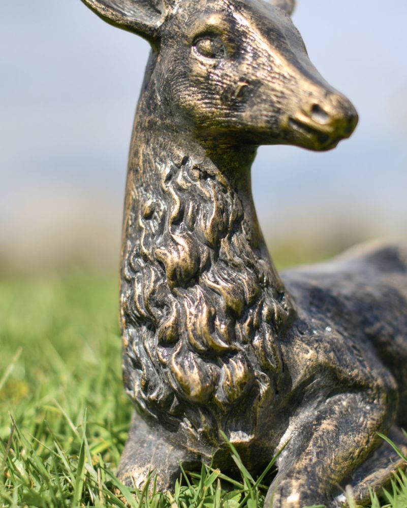 Close Up Of 
