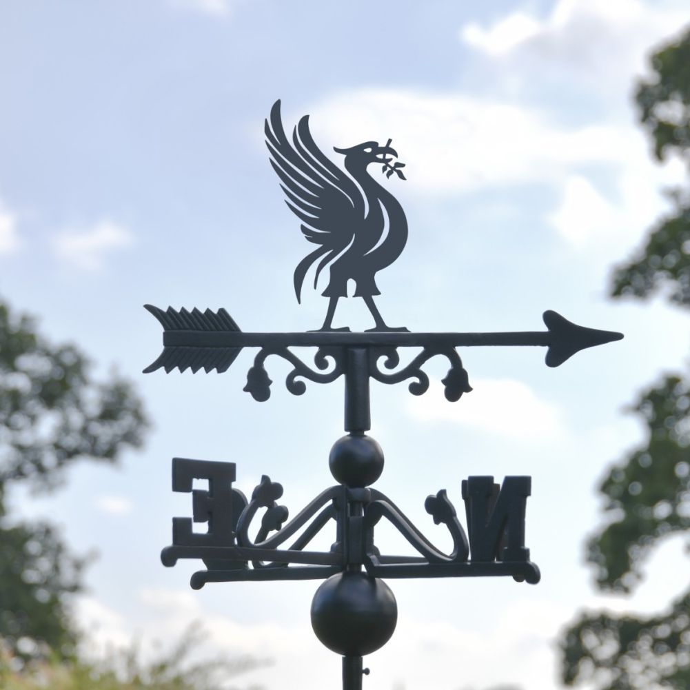 Close-Up of Liver Bird Motif