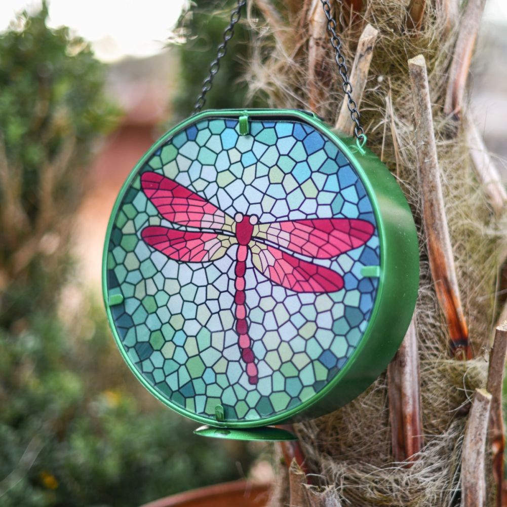 Glass Dragonfly Hanging Solar Light In Situ