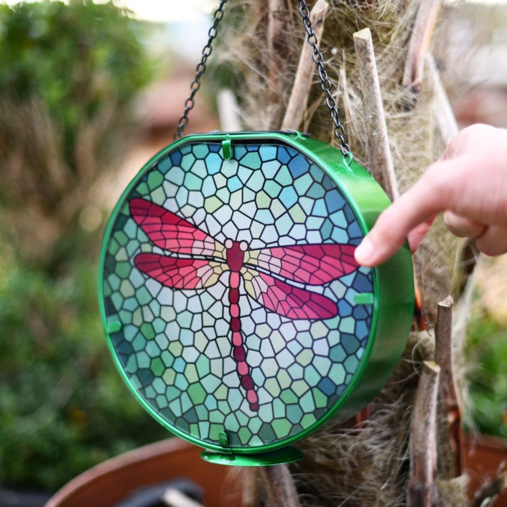 Scale Shot Of Glass Dragonfly Hanging Solar Light