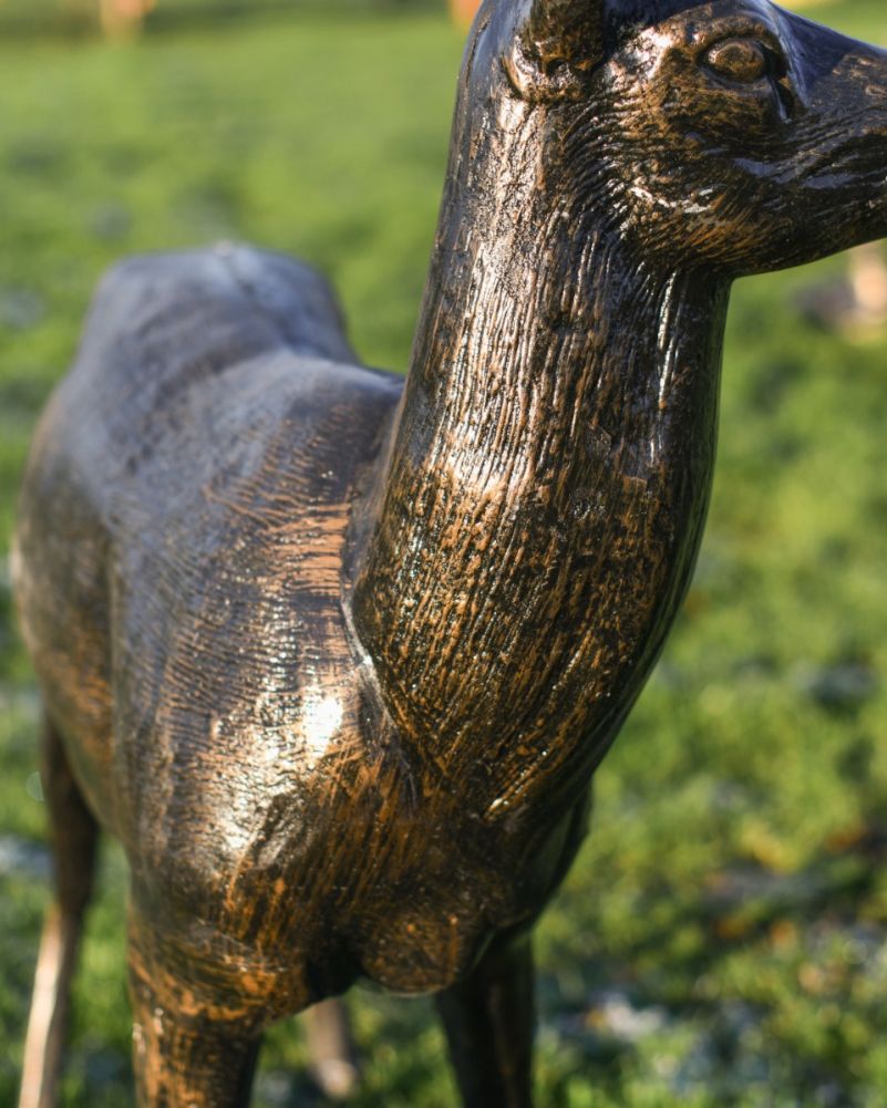 Close Up Of 