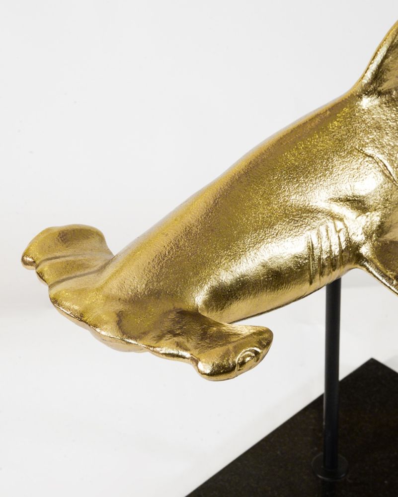 'Anvil Of The Deep' Hammerhead Shark Interior Ornament Close Up Gold
