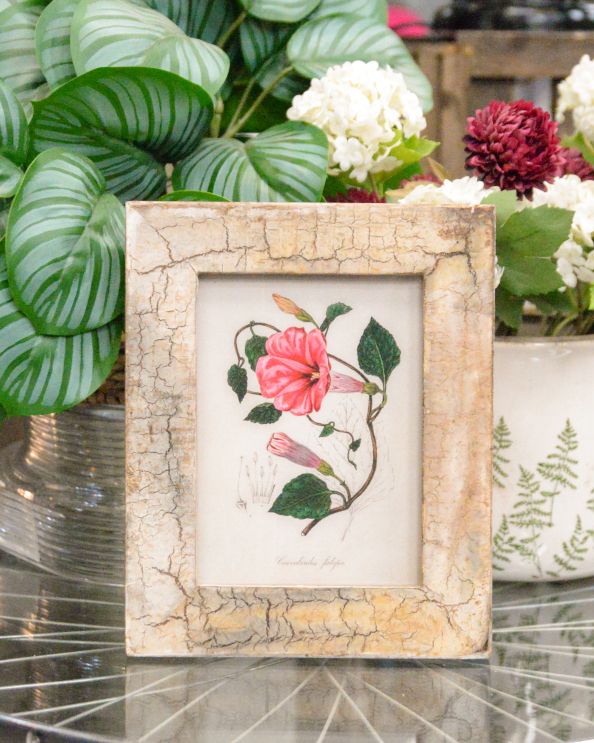 'Hidden Bloom' Recycled Wooden Framed Morning Glory Artwork