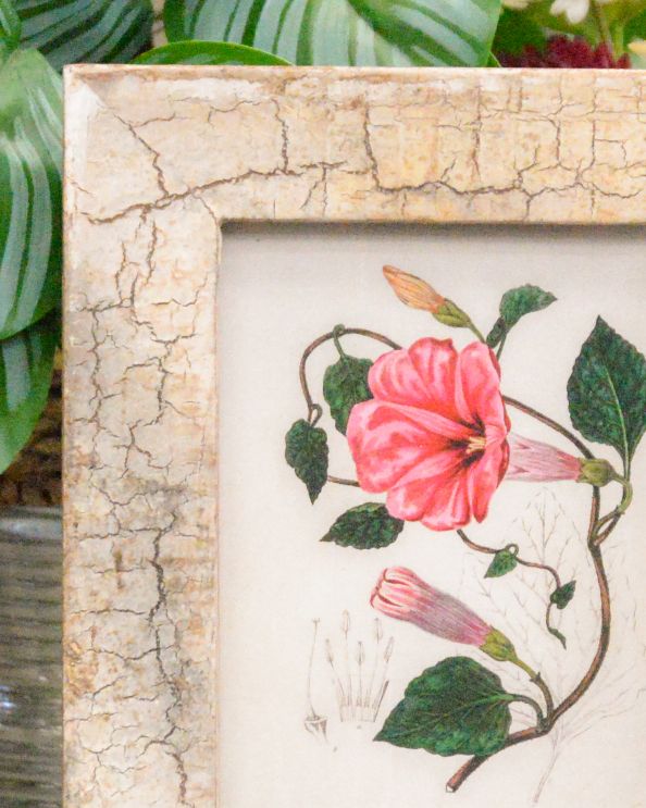 Close Up Of The Vintage Wooden Frame