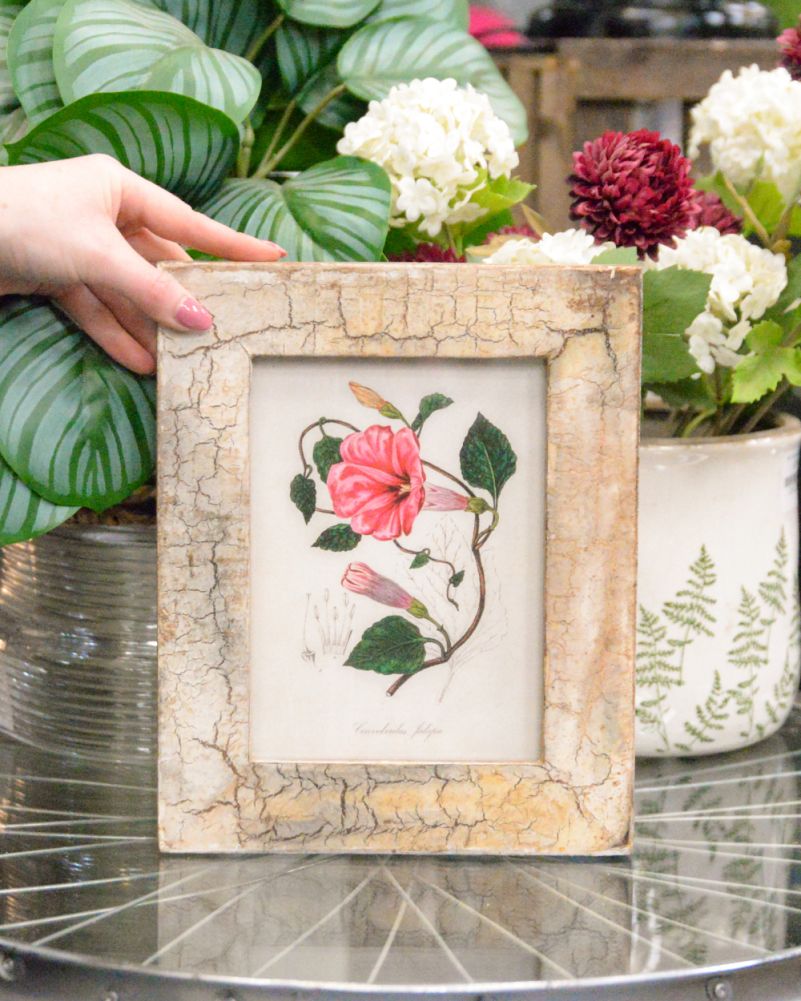 'Hidden Bloom' Recycled Wooden Framed Morning Glory Artwork to Scale