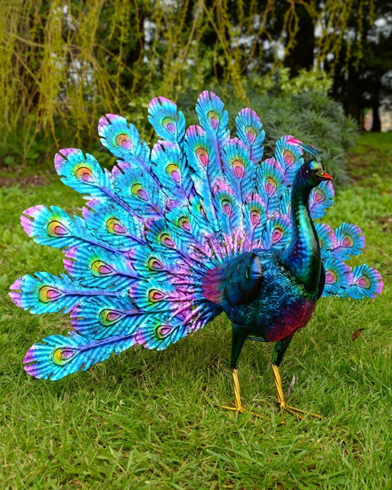'Indigo' The Majestic Peacock Garden Sculptures