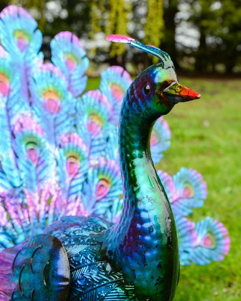 'Indigo' The Majestic Peacock Garden Sculptures Close Up