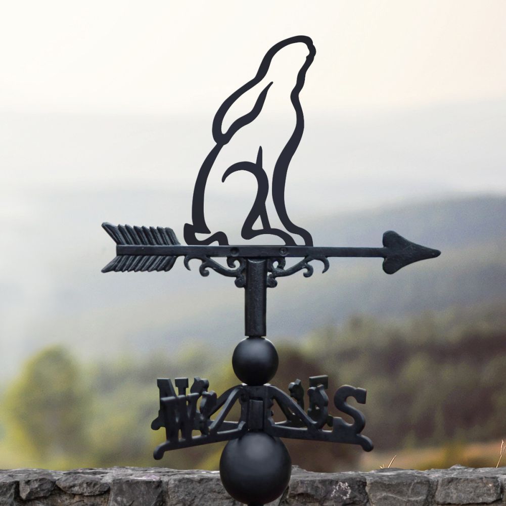 Cast Iron & Steel Contemporary Moon Gazing Hare Weathervane