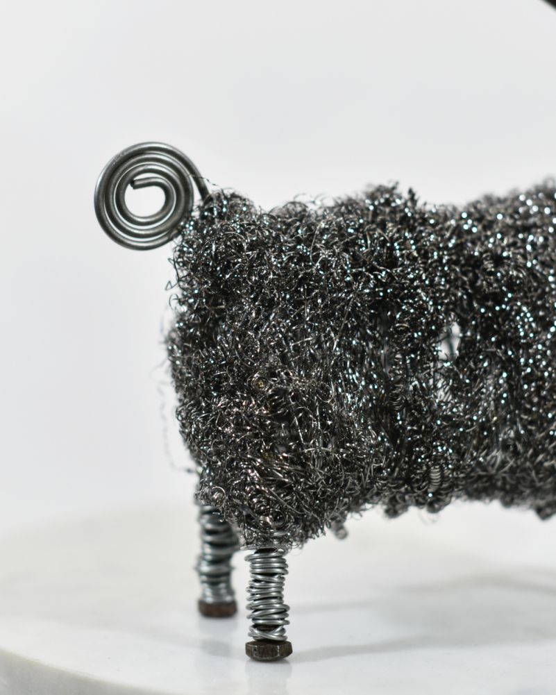 'Lambert' The Rams Tail