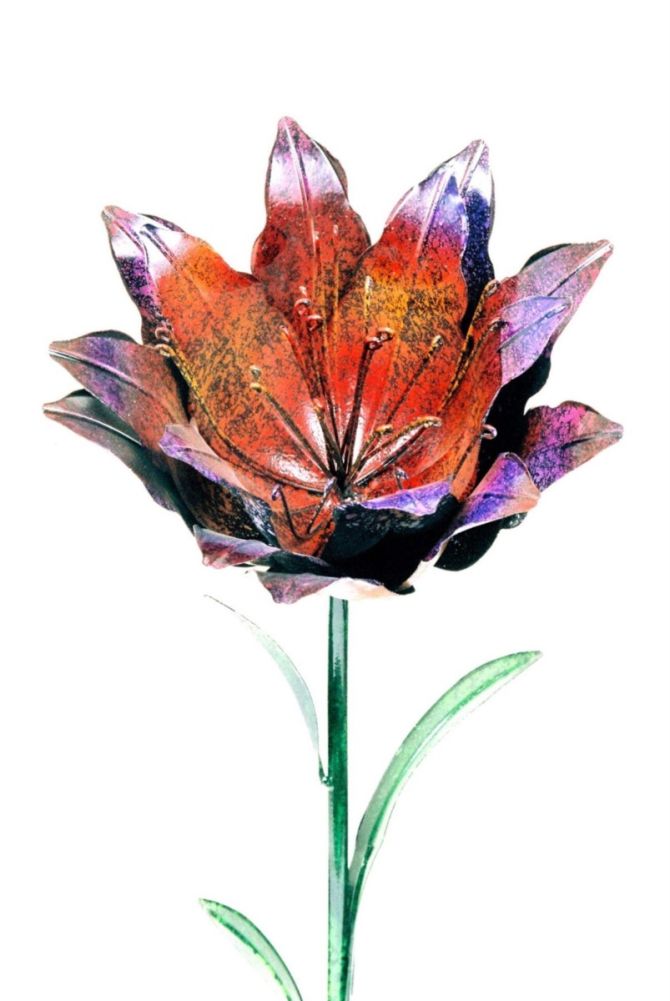 Large Colourful Purple Lily Garden Spike