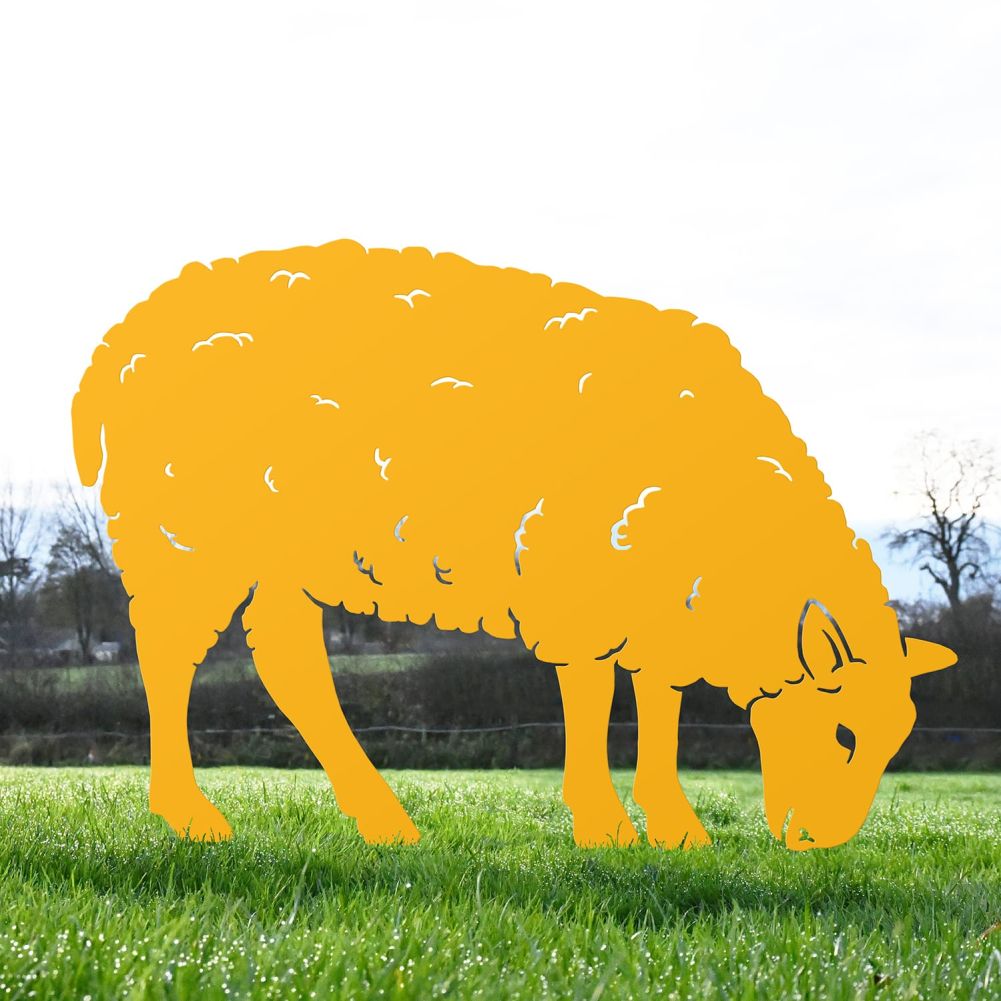 Yellow Iron Ewe Sheep Feeding Silhouette in Situ in the Garden