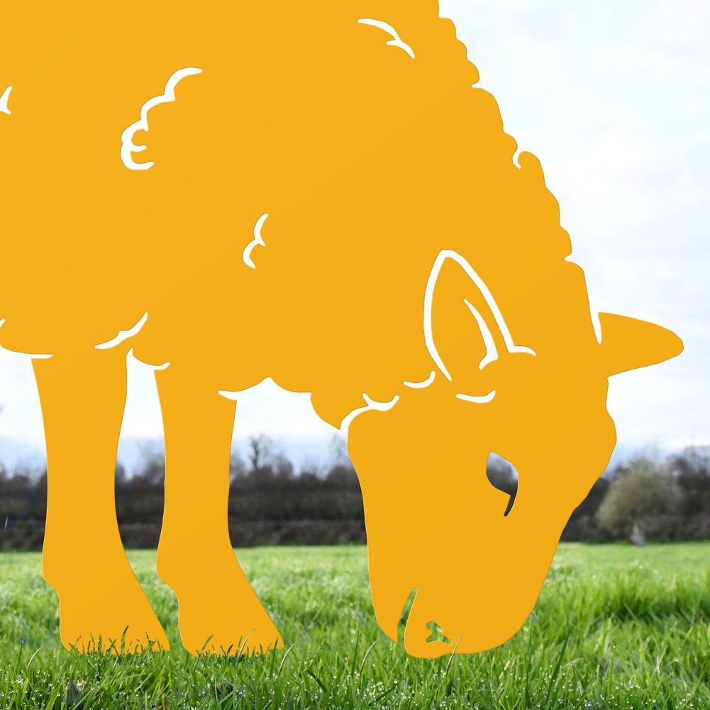Close-up of the Head of the Ewe Sheep Feeding Silhouette