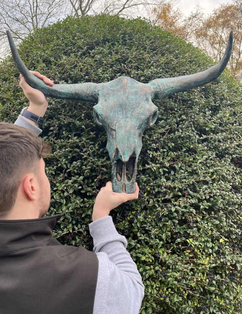 Large Cast Aluminium Verdigris Bison Skull Home Ornament To Scale