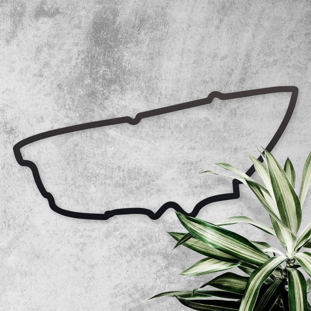 Le Mans Race Track Wall Art On a Rustic Wall With Plant
