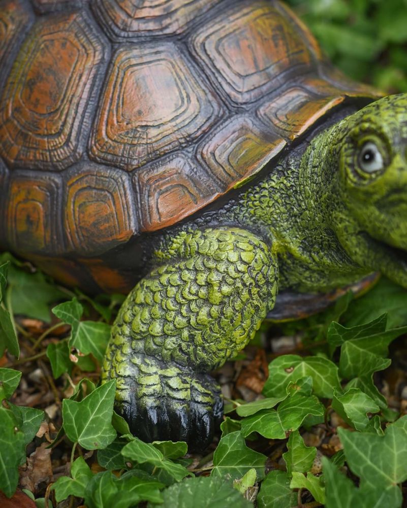 'Toby' The Fibreglass Tortoise Garden Sculpture Design