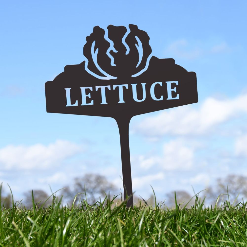 Vegetable Sign - Lettuce