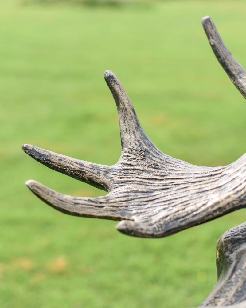 Close-Up of Pointed Antlers on Life-Size Freestanding 
