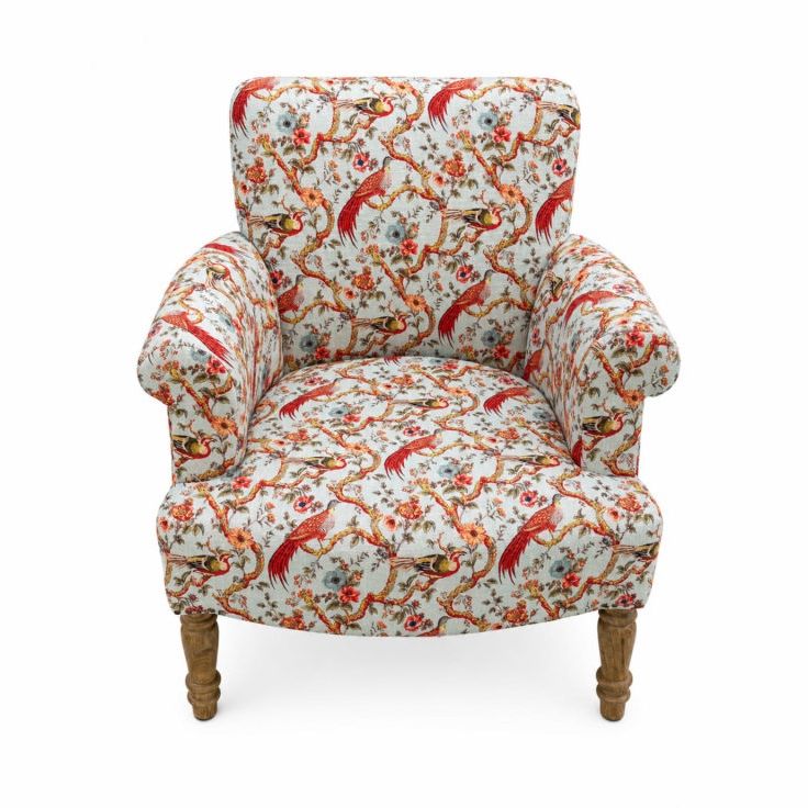 Mango Wood Upholstered Aviary Armchair Front