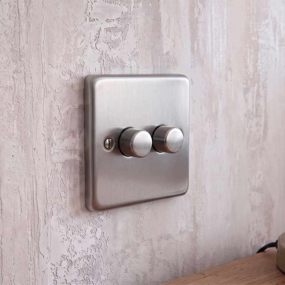 Modern Satin Stainless Steel Double Dimmer Switch Digital Illustration