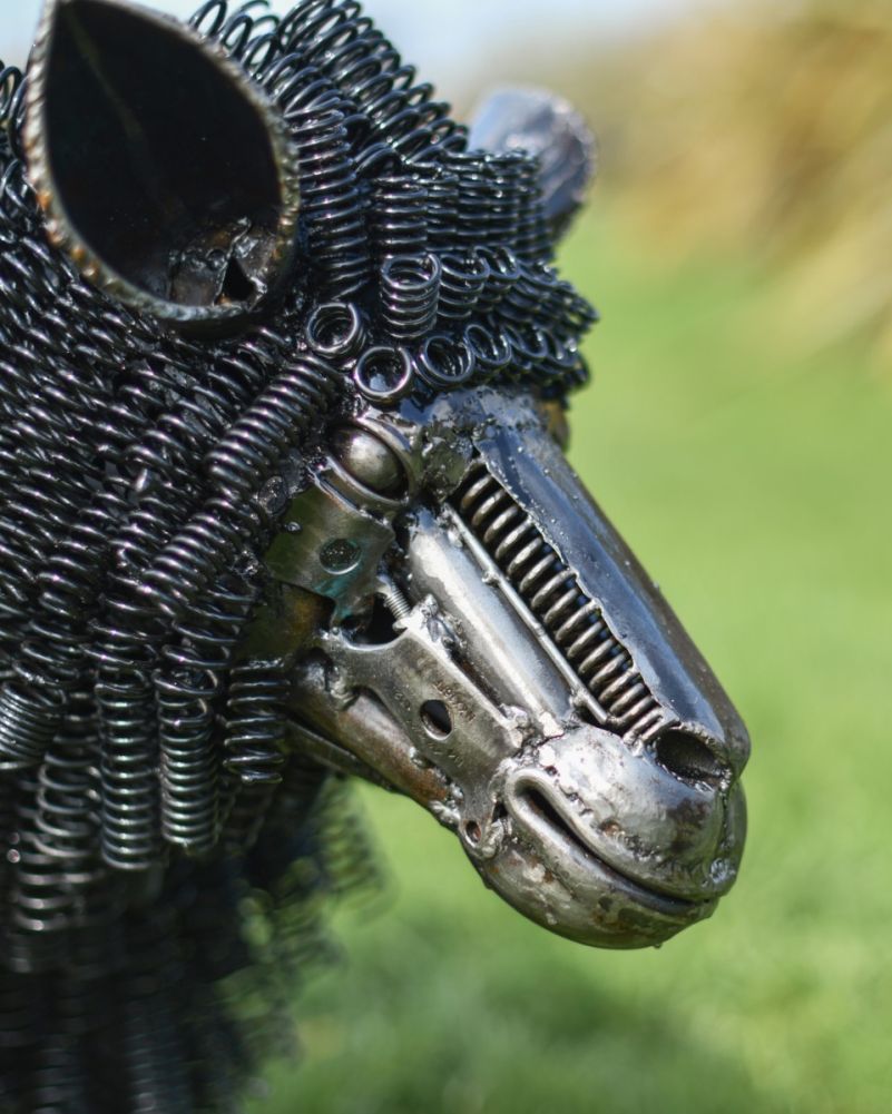 Close Up Of 