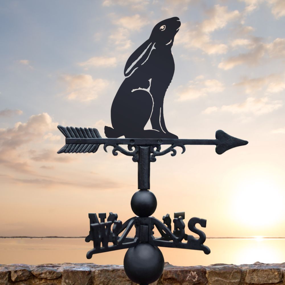 Unique Cast Iron & Steel Moon Gazing Hare Weathervane
