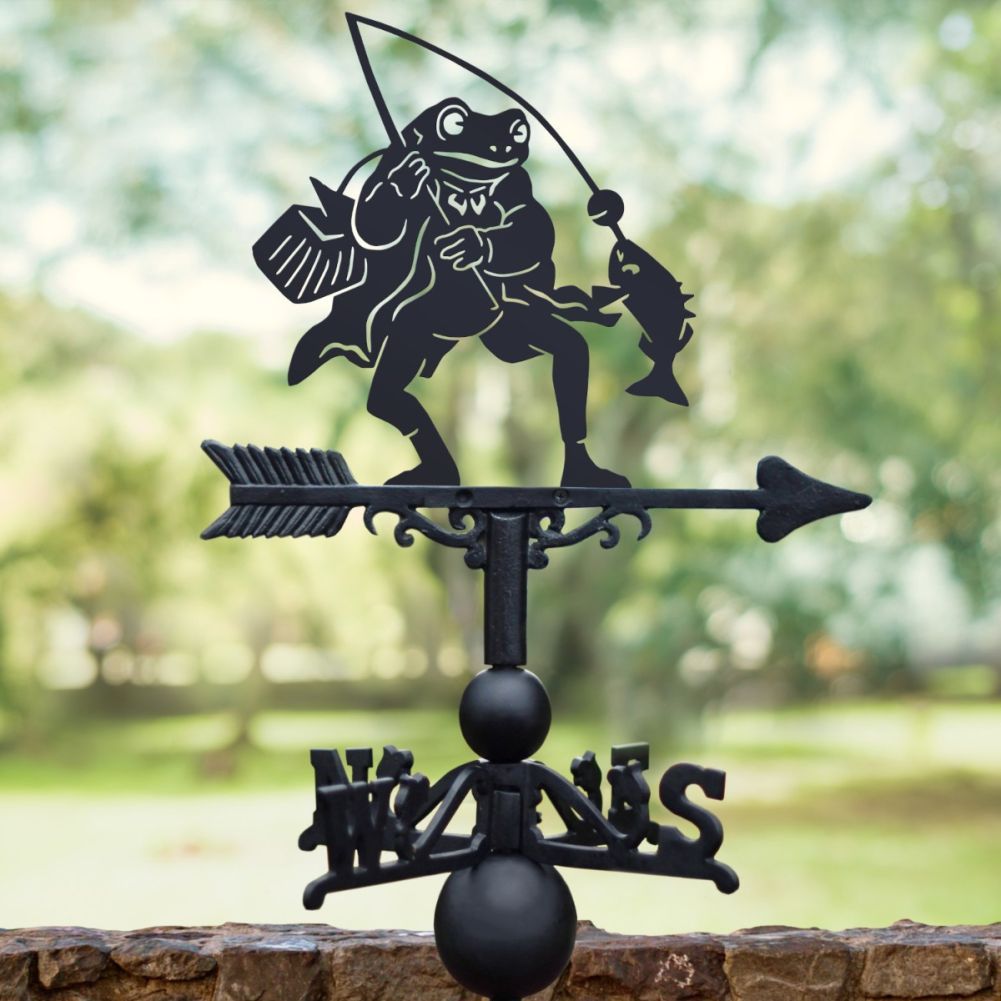 Mr Frog Weathervane

