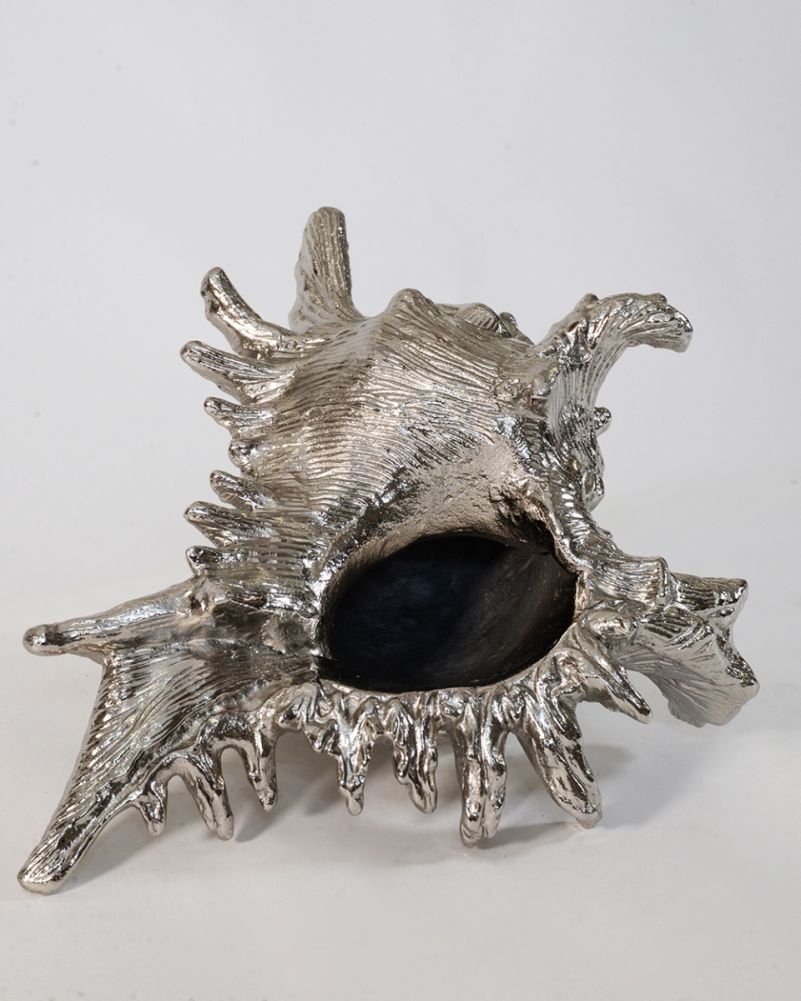 'Abyssal Spires' Shell Interior Ornament In Nickel