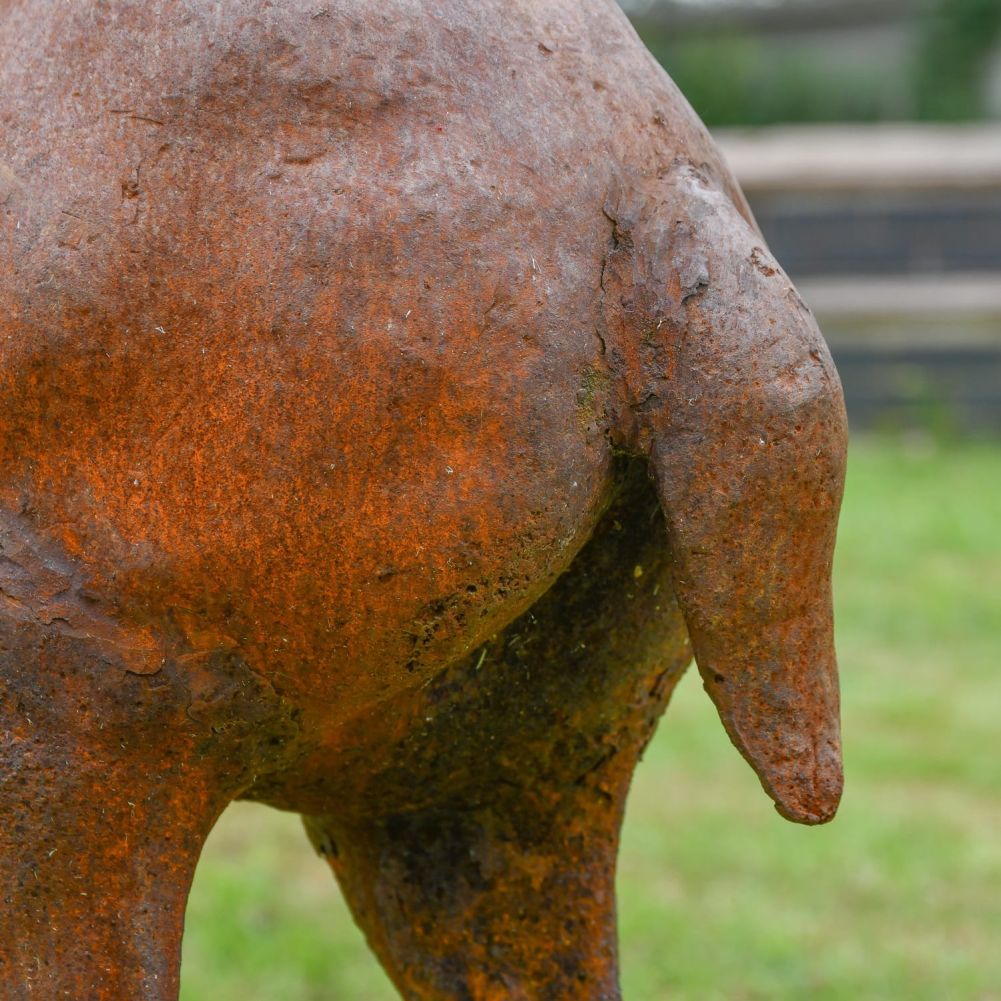 Close up of stag tail 