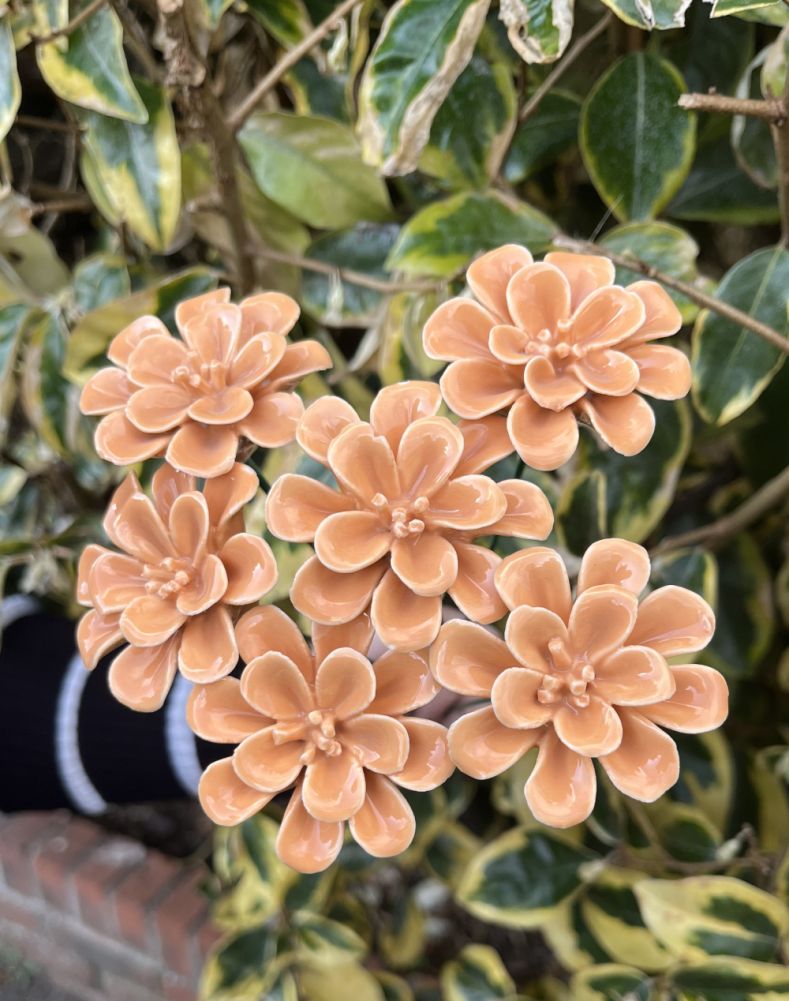 Set Of Six Orange Magnolia Ornate Ceramic Flower Decoration