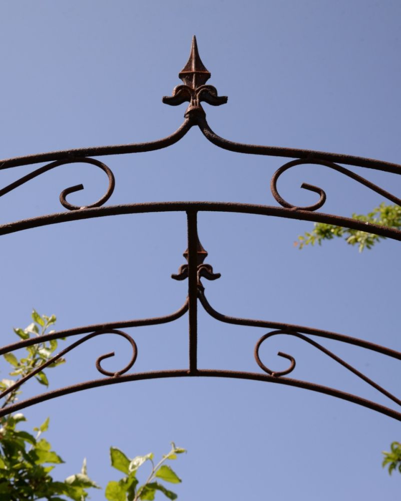 Ornate Guglia Rustic Traditional Rose Arch Top