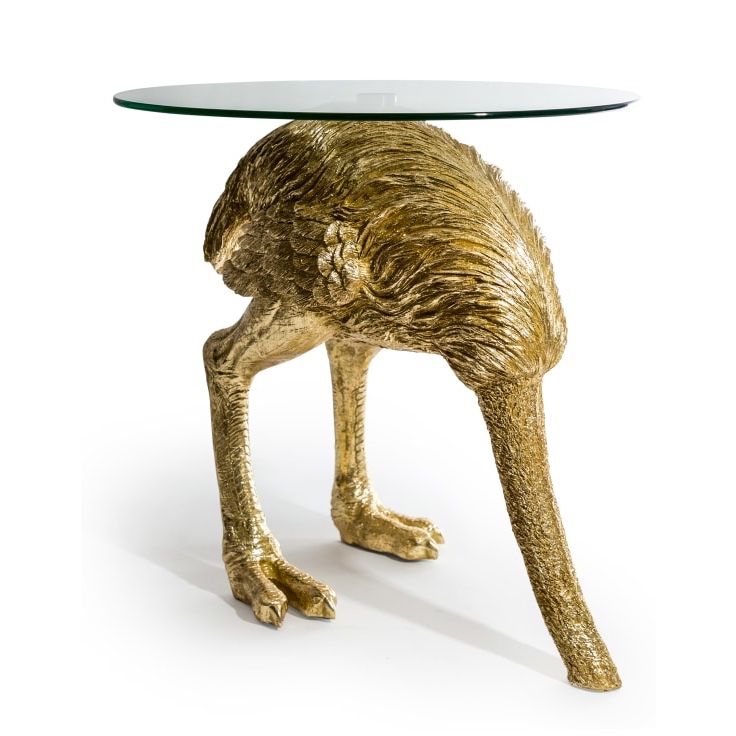 'Out Of Sight' Ostrich Coffee Table