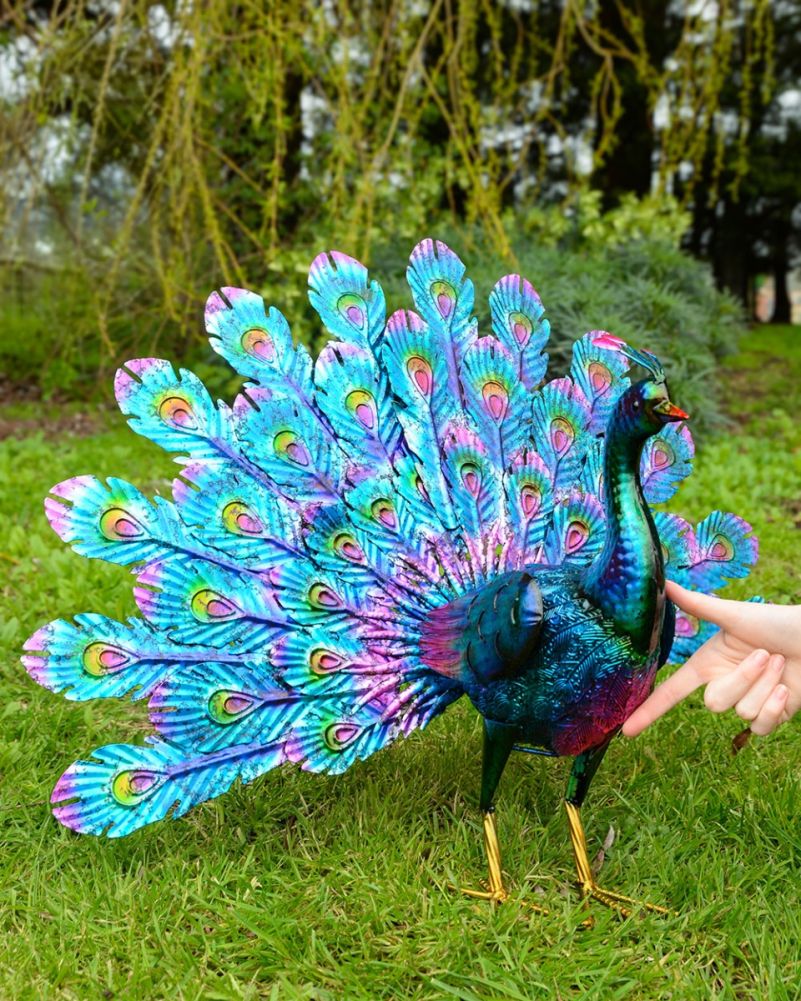 'Argus' The Majestic Peacock Garden Sculpture To Scale