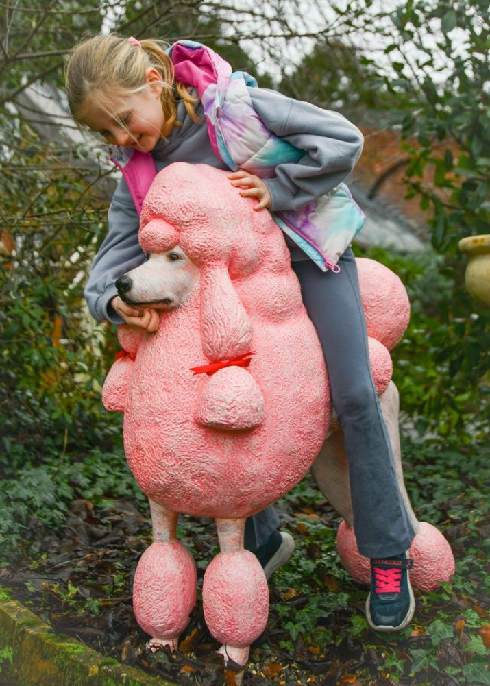'Petunia' The Fibreglass Poodle Garden Sculpture In Situ