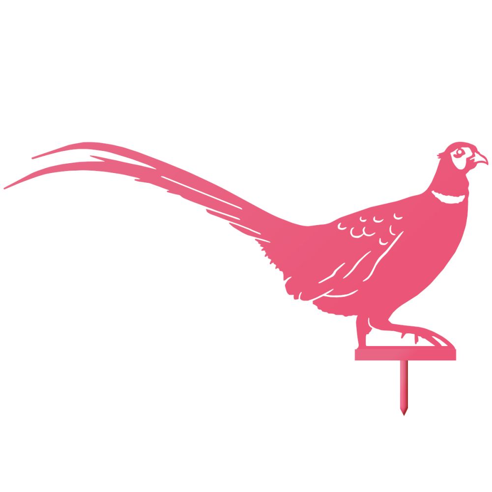 Pink Ring-necked Pheasant Silhouette