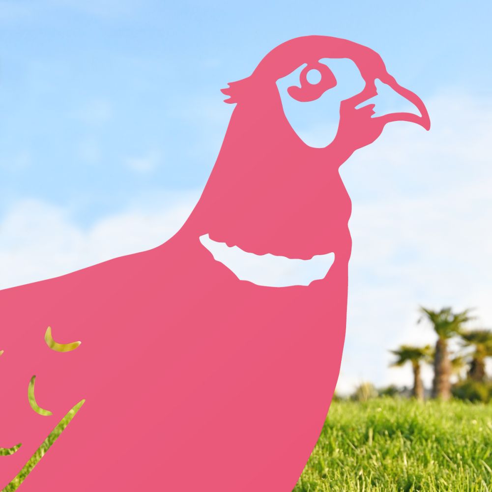 Pink Ring-necked Pheasant Silhouette