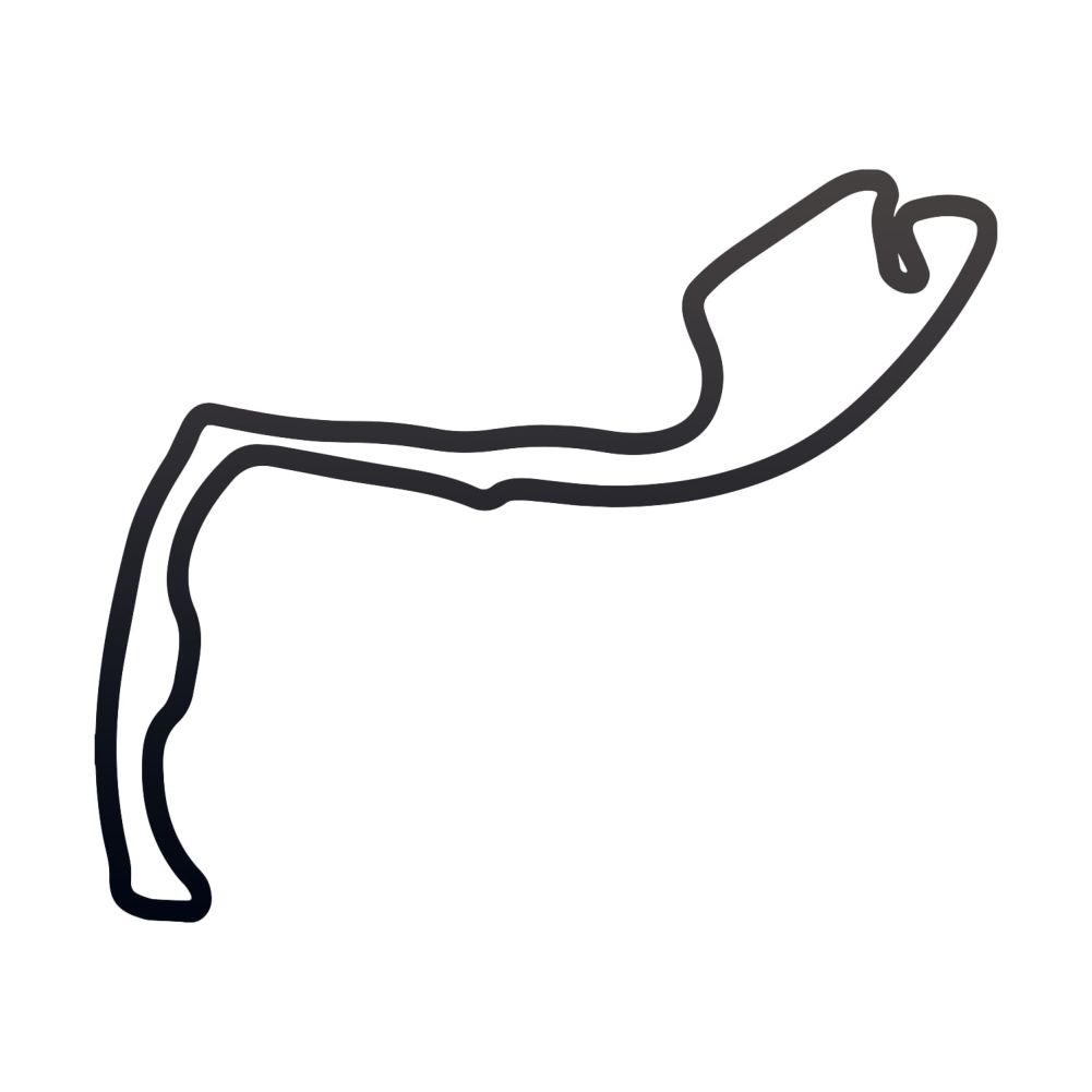Monaco Race Circuit Wall Art On a White Background