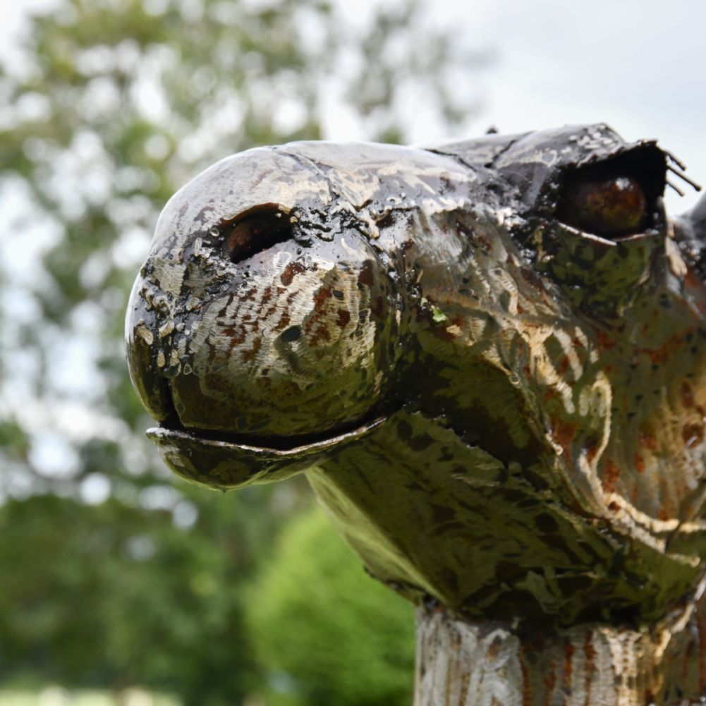 Recycled Metal Arabian Camel Calf Sculpture Face