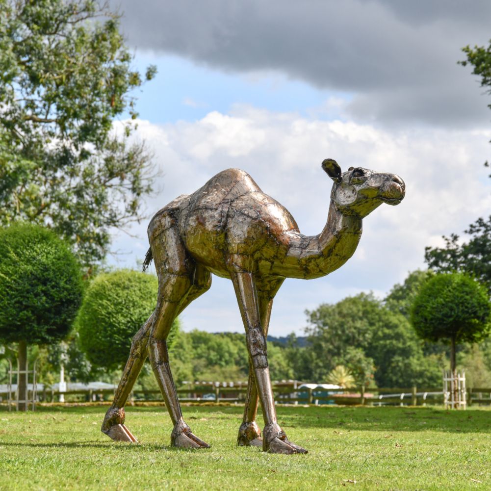 Recycled Metal Arabian Camel Calf Sculpture Side