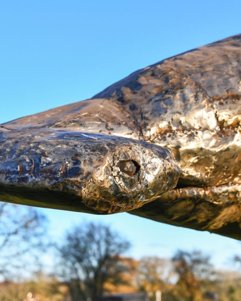 Close Up Of Recycled Metal Hammerhead Shark Sculpture Head